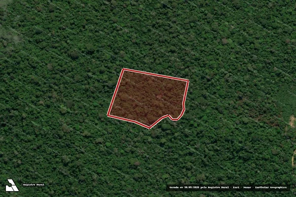 Imagem de satélite de Infração da Flora em Anapu - PA