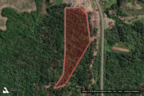 Imagem de satélite de Infração Ambiental em Mallet - PR