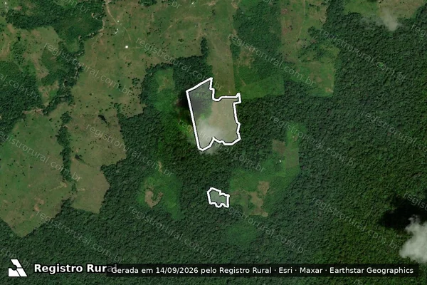 Imagem de satélite — Embargo IBAMA — Infração da Flora - Feijó/AC