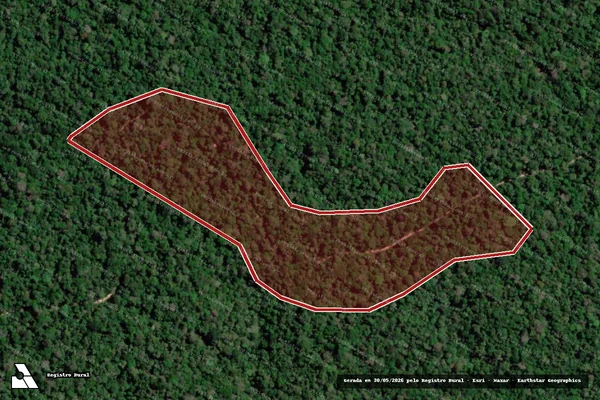 Imagem de satélite de Infração Ambiental em Anapu - PA