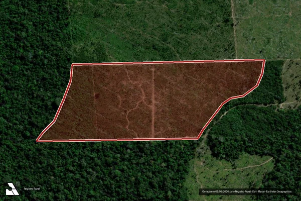 Imagem de satélite de Infração da Flora em Machadinho D'Oeste - RO