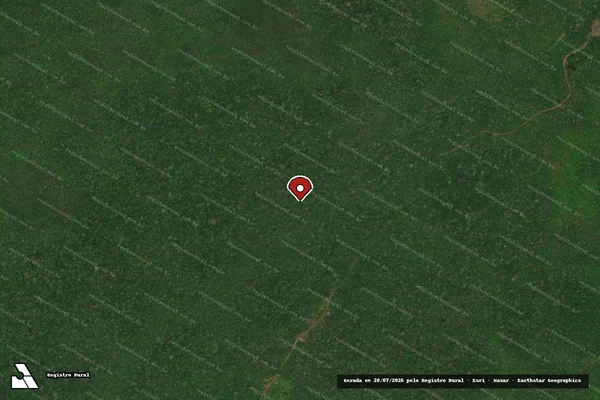 Imagem de satélite de Infração da Flora em Rorainópolis - RR (marcador da localização)