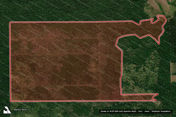 Imagem de satélite de Infração da Flora em Colniza - MT