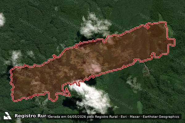 Imagem de satélite — Embargo IBAMA — Infração Ambiental - Aveiro/PA