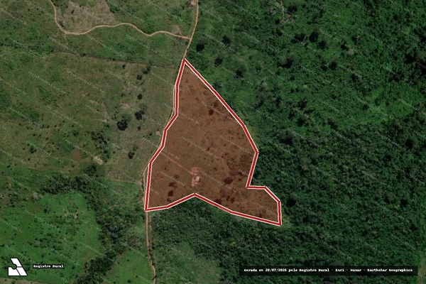 Imagem de satélite de Infração da Flora em São Félix do Xingu - PA