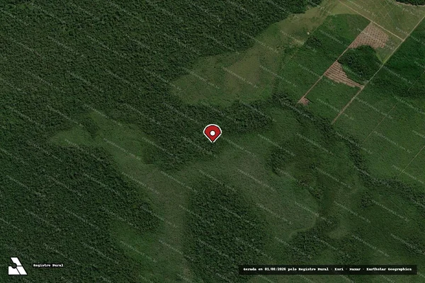 Imagem de satélite — Embargo IBAMA — Infração Ambiental - Alta Floresta D'Oeste/RO