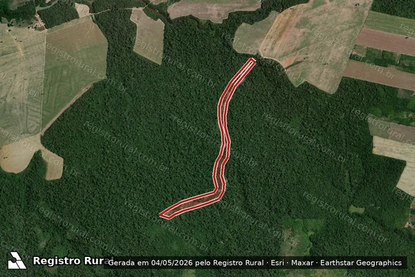 Imagem de satélite de Infração Ambiental em Santarém - PA