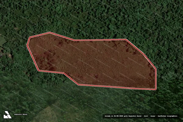 Imagem de satélite de Infração da Flora em Chopinzinho - PR