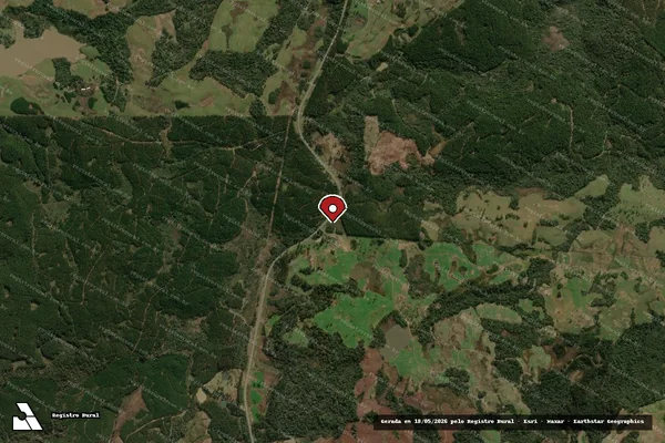 Imagem de satélite de Infração da Flora em Santa Cecília - SC (marcador da localização)