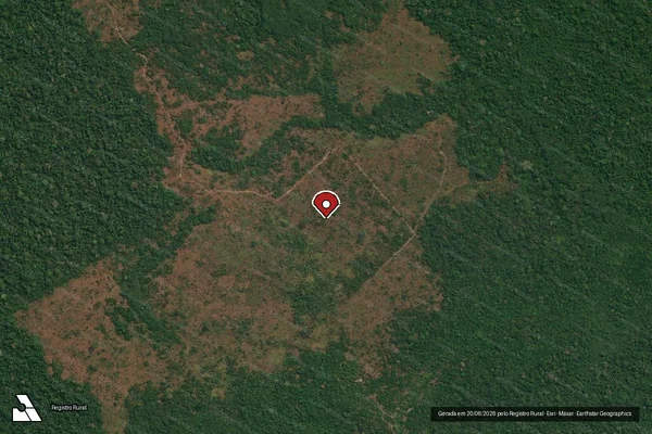 Imagem de satélite de Infração da Flora em Itaituba - PA (marcador da localização)