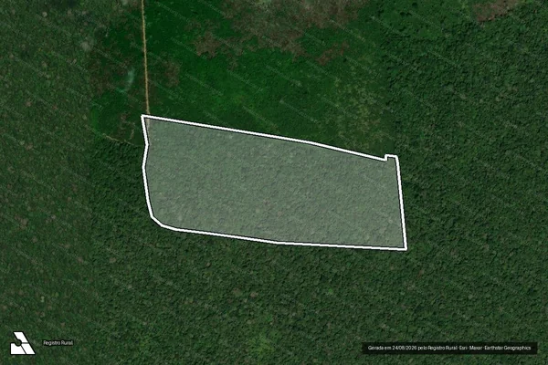 Imagem de satélite de Infração da Flora em Novo Aripuanã - AM