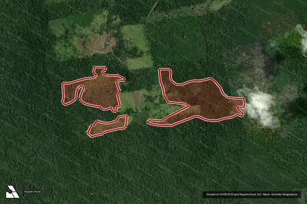 Imagem de satélite de Infração da Flora em Rurópolis - PA