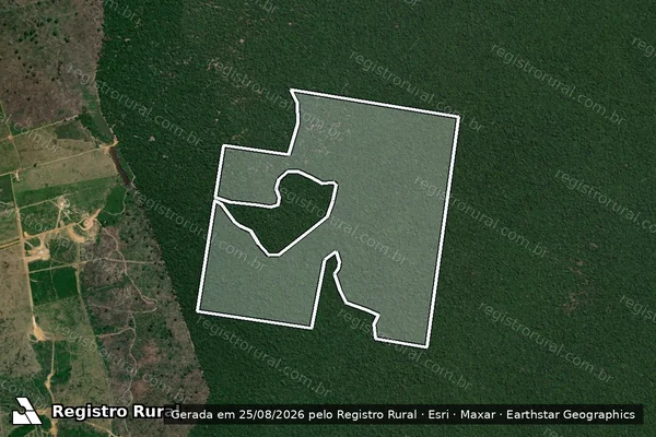 Imagem de satélite de Infração da Flora em Lábrea - AM