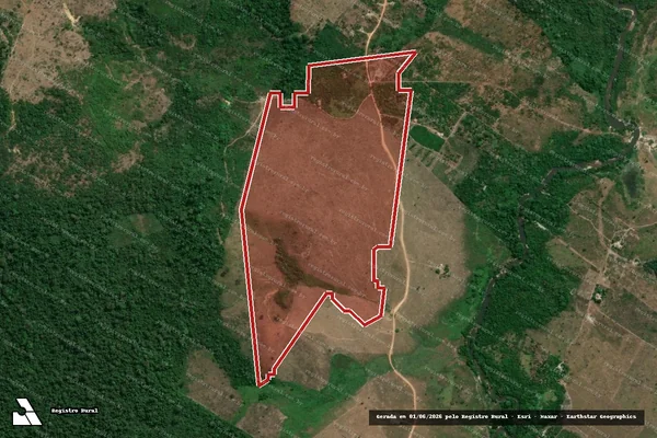 Imagem de satélite de Infração da Flora em Altamira - PA