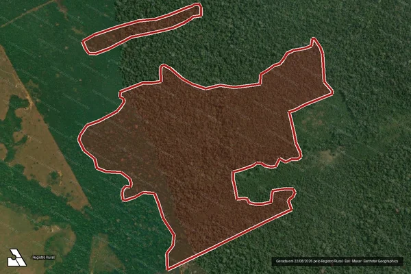 Imagem de satélite de Infração da Flora em Lábrea - AM