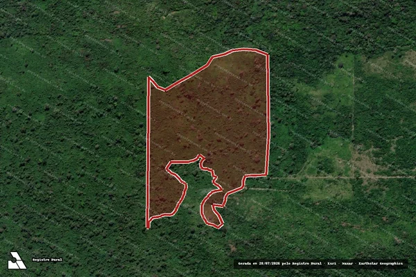 Imagem de satélite de Infração da Flora em São Félix do Xingu - PA