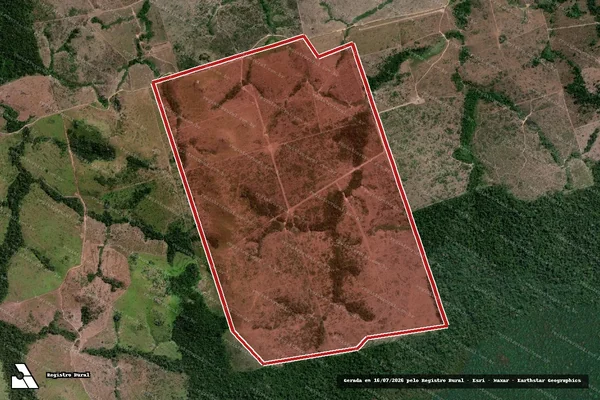 Imagem de satélite de Infração da Flora em Novo Progresso - PA
