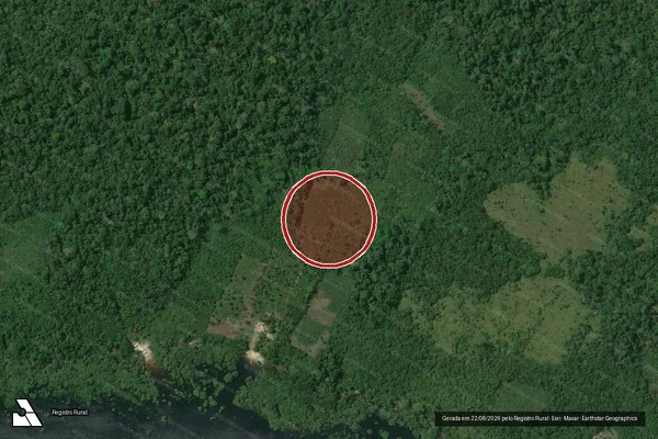 Imagem de satélite — Embargo Ambiental - Maués/AM