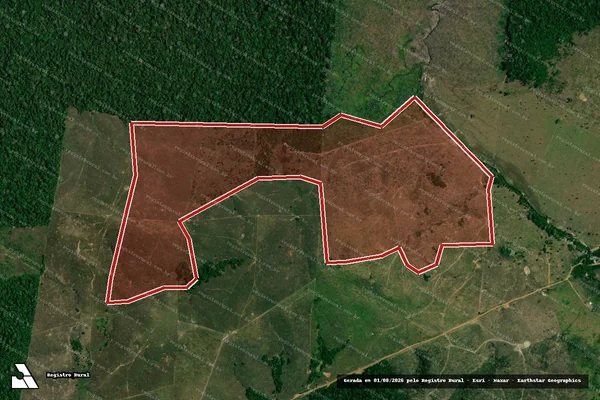 Imagem de satélite de Infração Ambiental em Apuí - AM