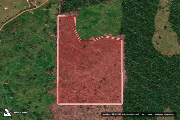 Imagem de satélite — Embargo IBAMA — Infração da Flora — Cacaulândia/RO