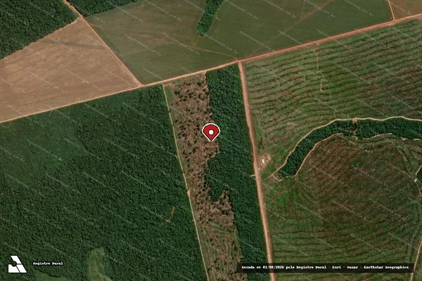 Imagem de satélite de Infração da Flora em Marcelândia - MT (marcador da localização)