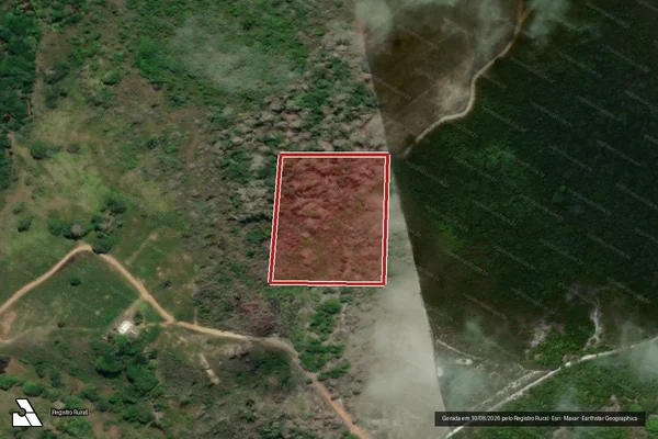 Imagem de satélite de Infração da Flora em Canavieiras - BA