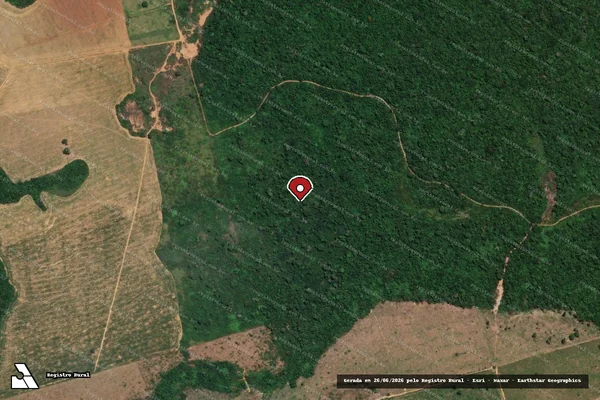 Imagem de satélite de Infração da Flora em Itaituba - PA (marcador da localização)