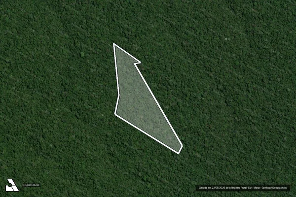 Imagem de satélite de Infração da Flora em Portel - PA
