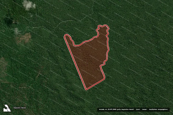 Imagem de satélite de Infração da Flora em Uruará - PA