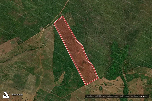 Imagem de satélite de Infração da Flora em Carolina - MA