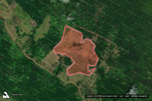Imagem de satélite de Infração da Flora em Alto Alegre - RR