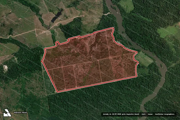 Imagem de satélite de Infração da Flora em Novo Progresso - PA