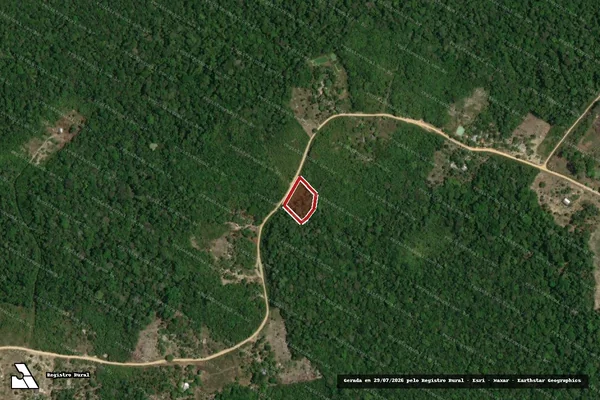 Imagem de satélite de Infração Ambiental em Manaus - AM