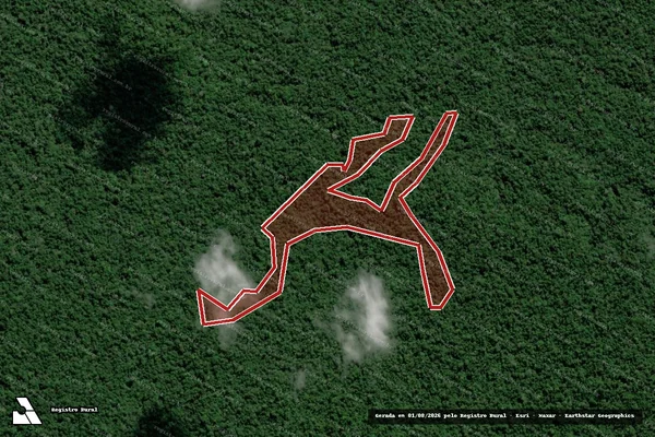 Imagem de satélite de Infração Ambiental em Dom Eliseu - PA