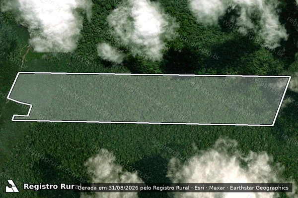 Imagem de satélite de Infração da Flora em Prainha - PA