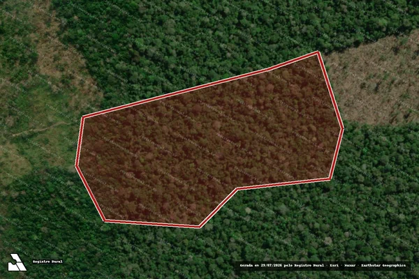 Imagem de satélite de Infração Ambiental em Boca do Acre - AM