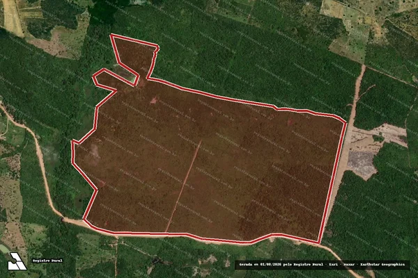 Imagem de satélite de Infração da Flora em Pindobaçu - BA