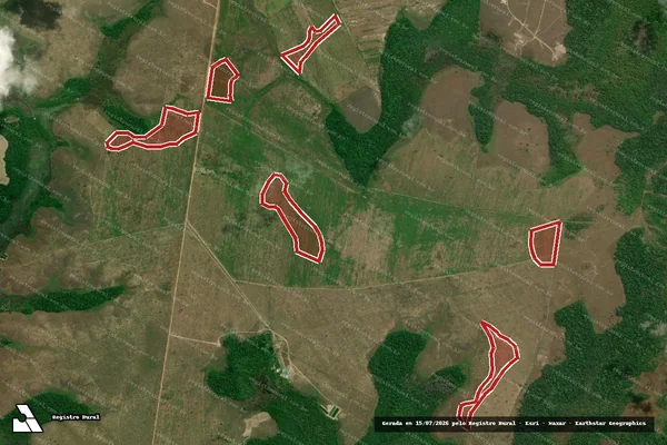 Imagem de satélite de Infração da Flora em Macapá - AP