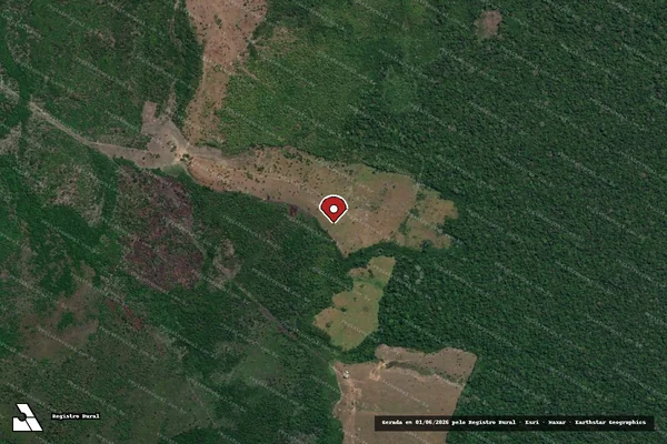 Imagem de satélite de Infração da Flora em Canutama - AM (marcador da localização)