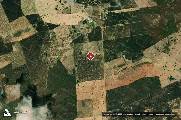 Imagem de satélite — Embargo IBAMA — Infração da Flora — Tabira/PE