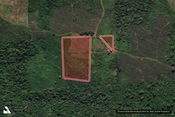 Imagem de satélite — Embargo IBAMA — Infração da Flora - Rurópolis/PA