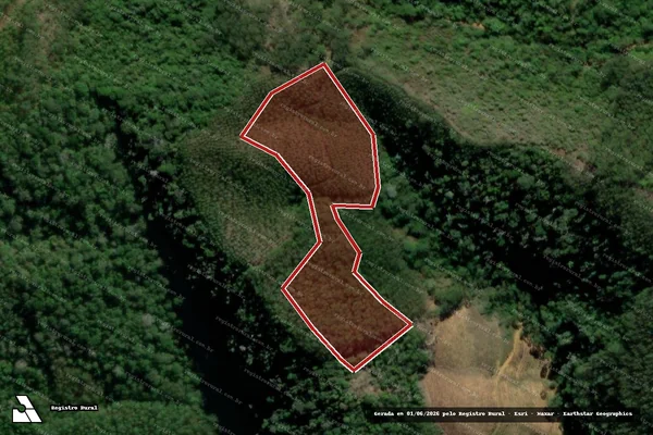 Imagem de satélite de Infração Ambiental em João Neiva - ES