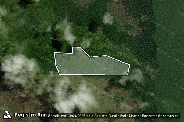 Imagem de satélite de Infração Ambiental em Novo Aripuanã - AM