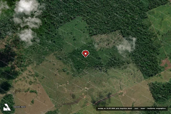 Imagem de satélite de Infração Ambiental em Lábrea - AM (marcador da localização)
