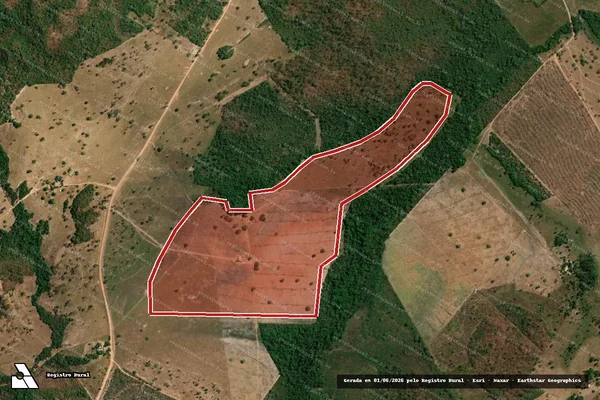 Imagem de satélite — Embargo IBAMA — Infração Ambiental - Campos Lindos/TO