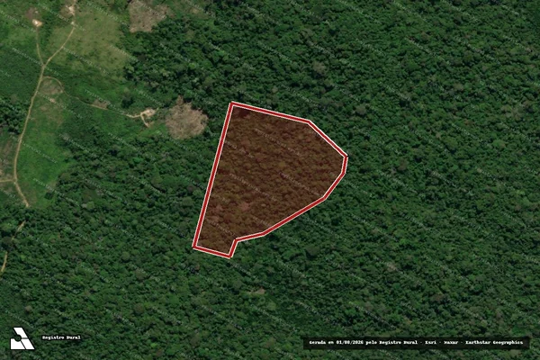 Imagem de satélite de Infração Ambiental em Anapu - PA