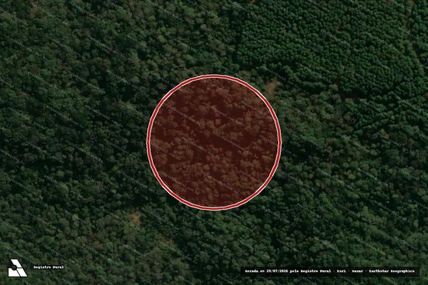 Imagem de satélite de Desmatamento em Inácio Martins - PR