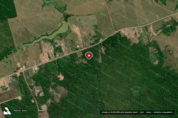 Imagem de satélite de Infração Ambiental em Tomé-Açu - PA (marcador da localização)