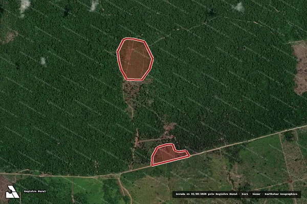 Imagem de satélite de Infração da Flora em Altamira - PA