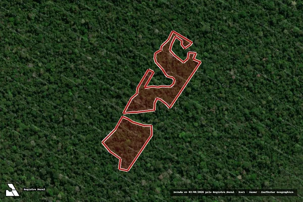 Imagem de satélite de Infração da Flora em Boca do Acre - AM